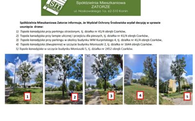 DECYZJA WYDZIAŁU OCHRONY ŚRODOWISKA